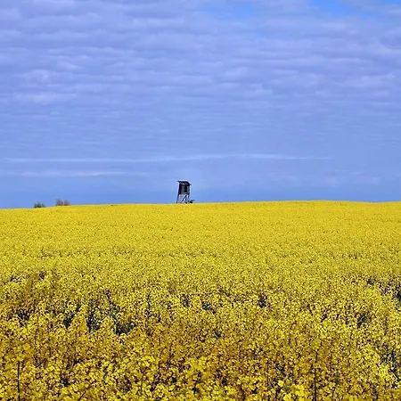 Panorama-meerblick In Der Atlantic Mit Strandkorb Am