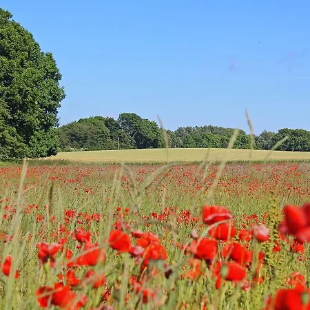 Panorama-meerblick In Der Atlantic Mit Strandkorb Am